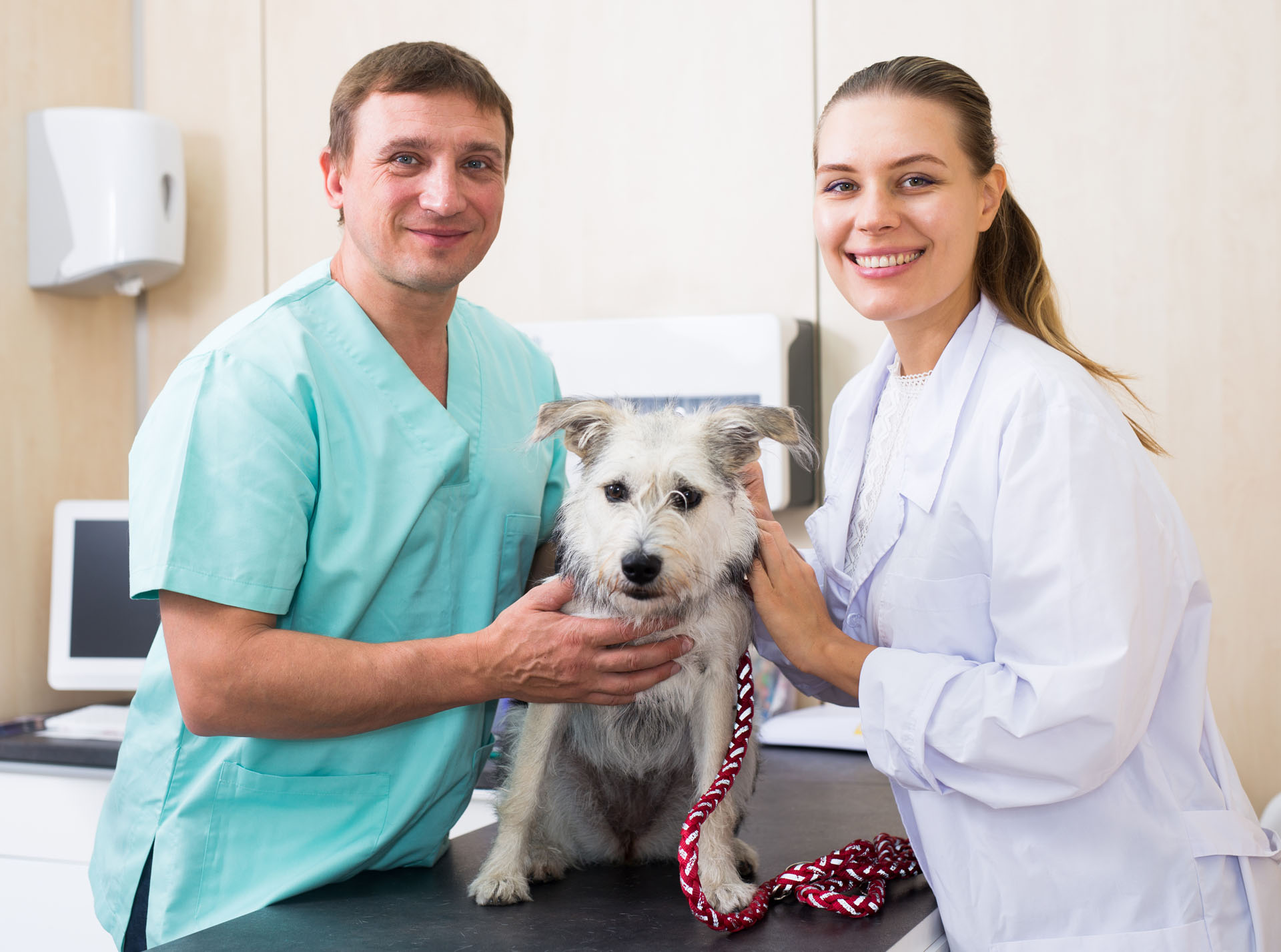 formation-assistante-veterinaire