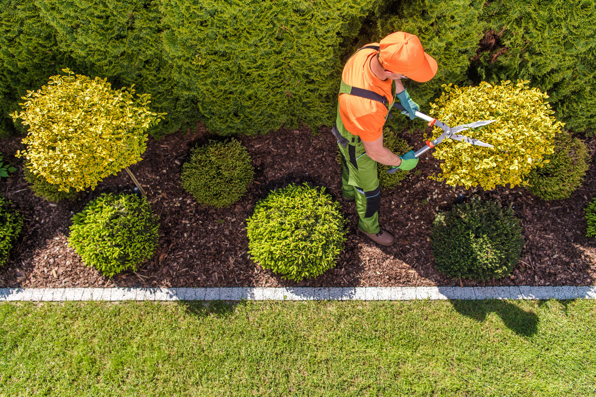 formation-jardinier-paysagiste