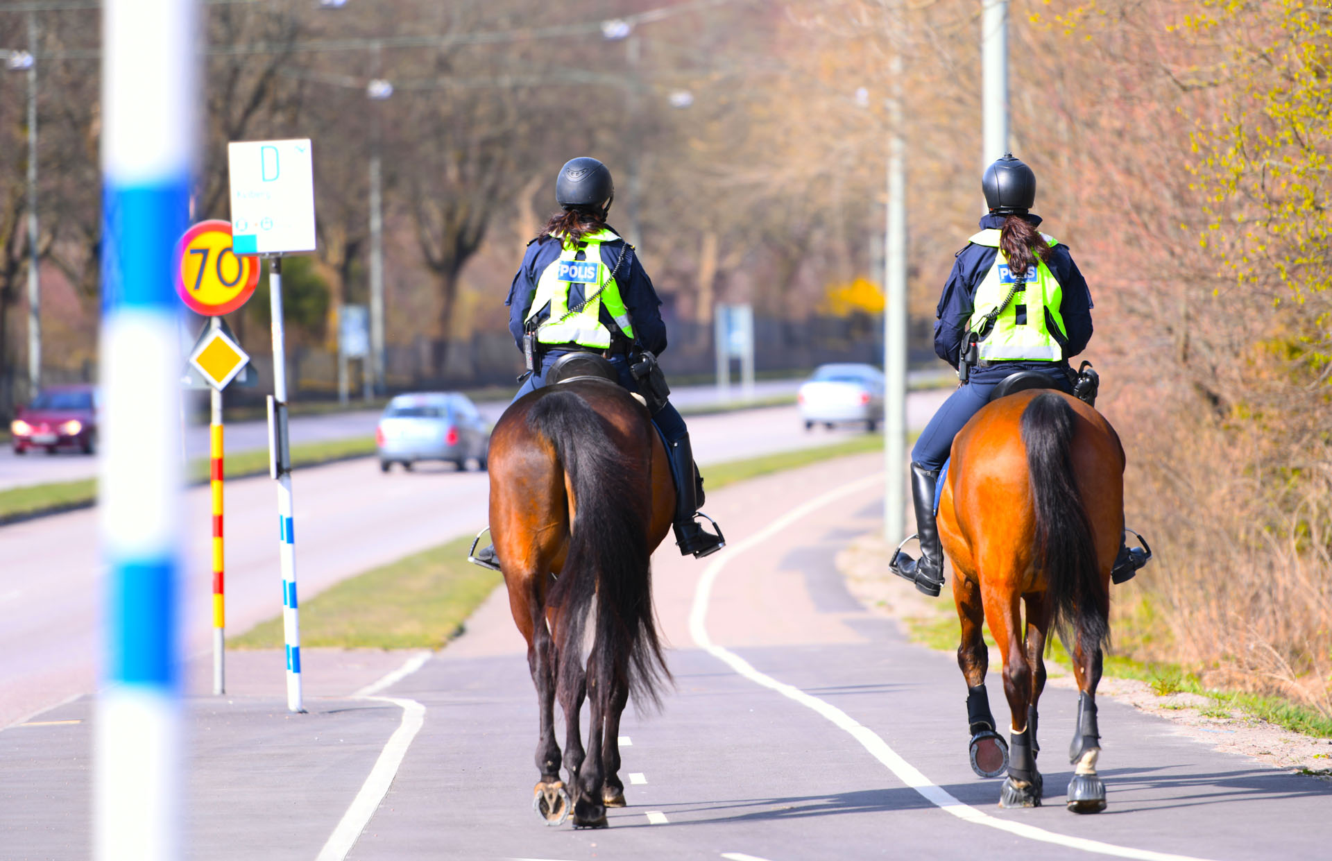 metier-policier-a-cheval